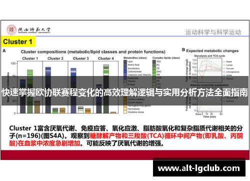 快速掌握欧协联赛程变化的高效理解逻辑与实用分析方法全面指南